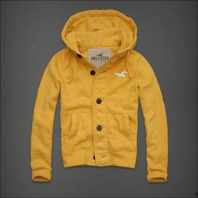 Hollister Men Hoodies-103